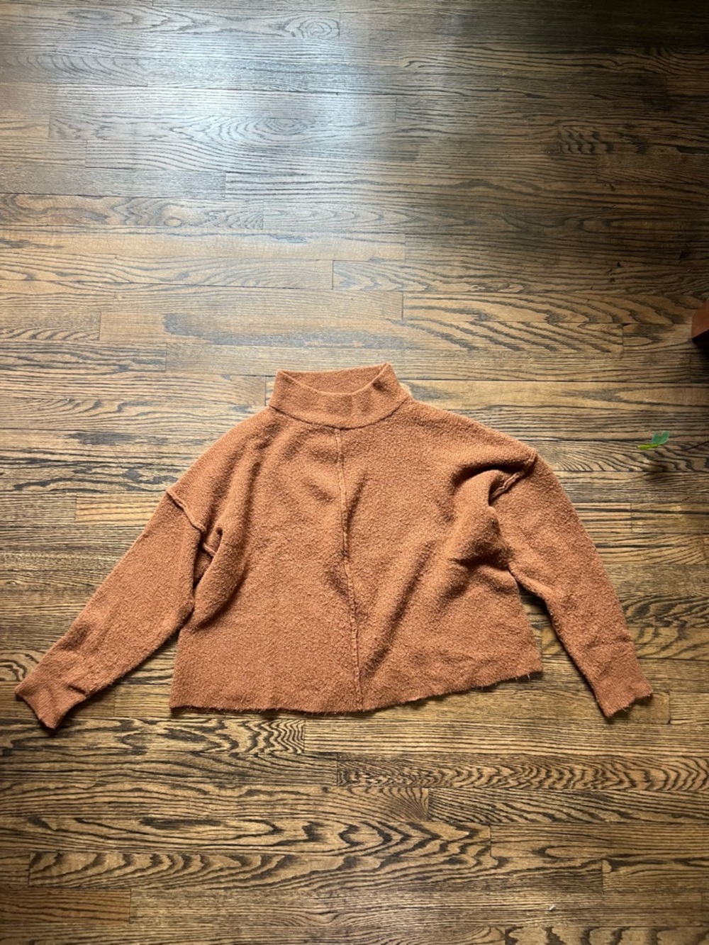 Universal Thread Cropped Mock Neck Sweater in Rust